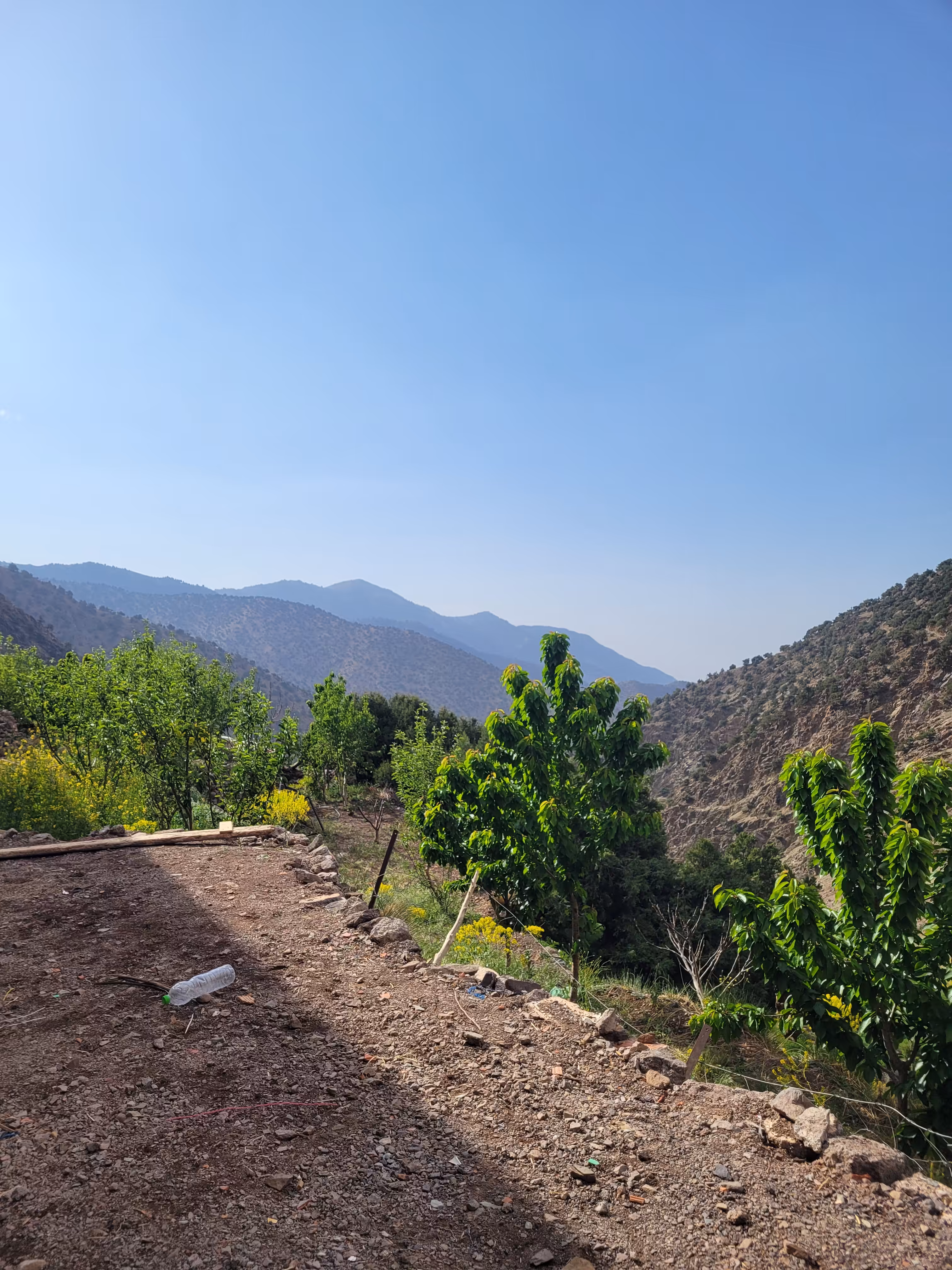 2-Day Atlas Trek & Authentic Berber Village Stay - Image 2